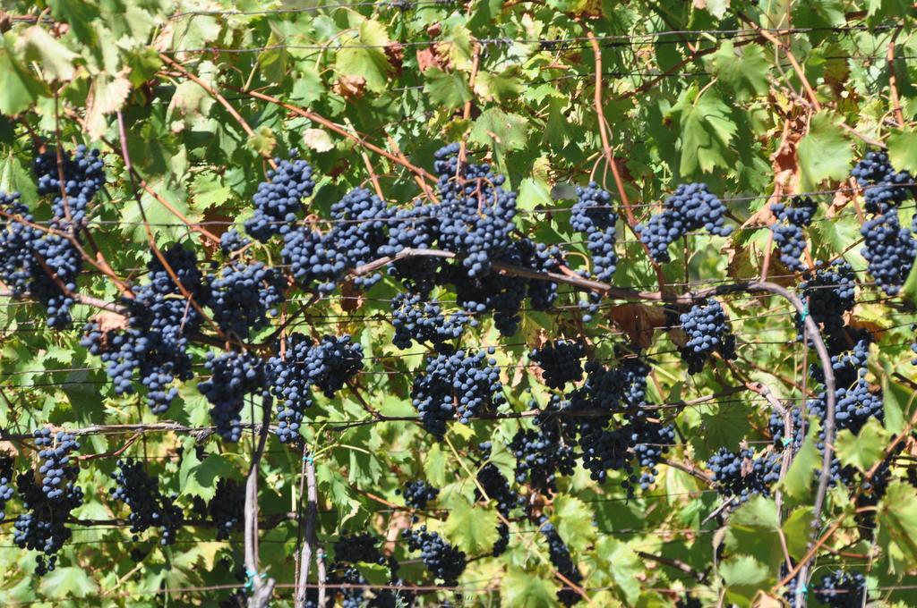 Ausserperskolerhof - Adults Only Fiè Esterno foto